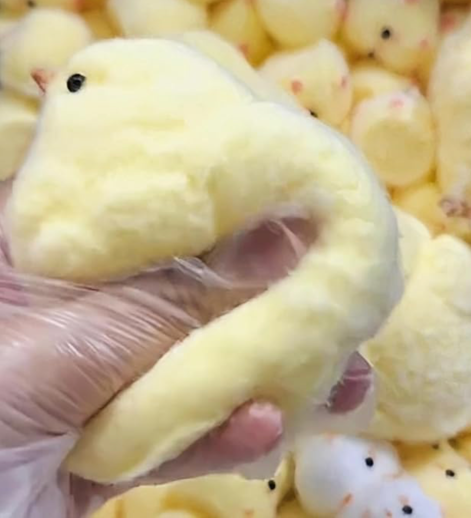 Squishy poussin anti-stress