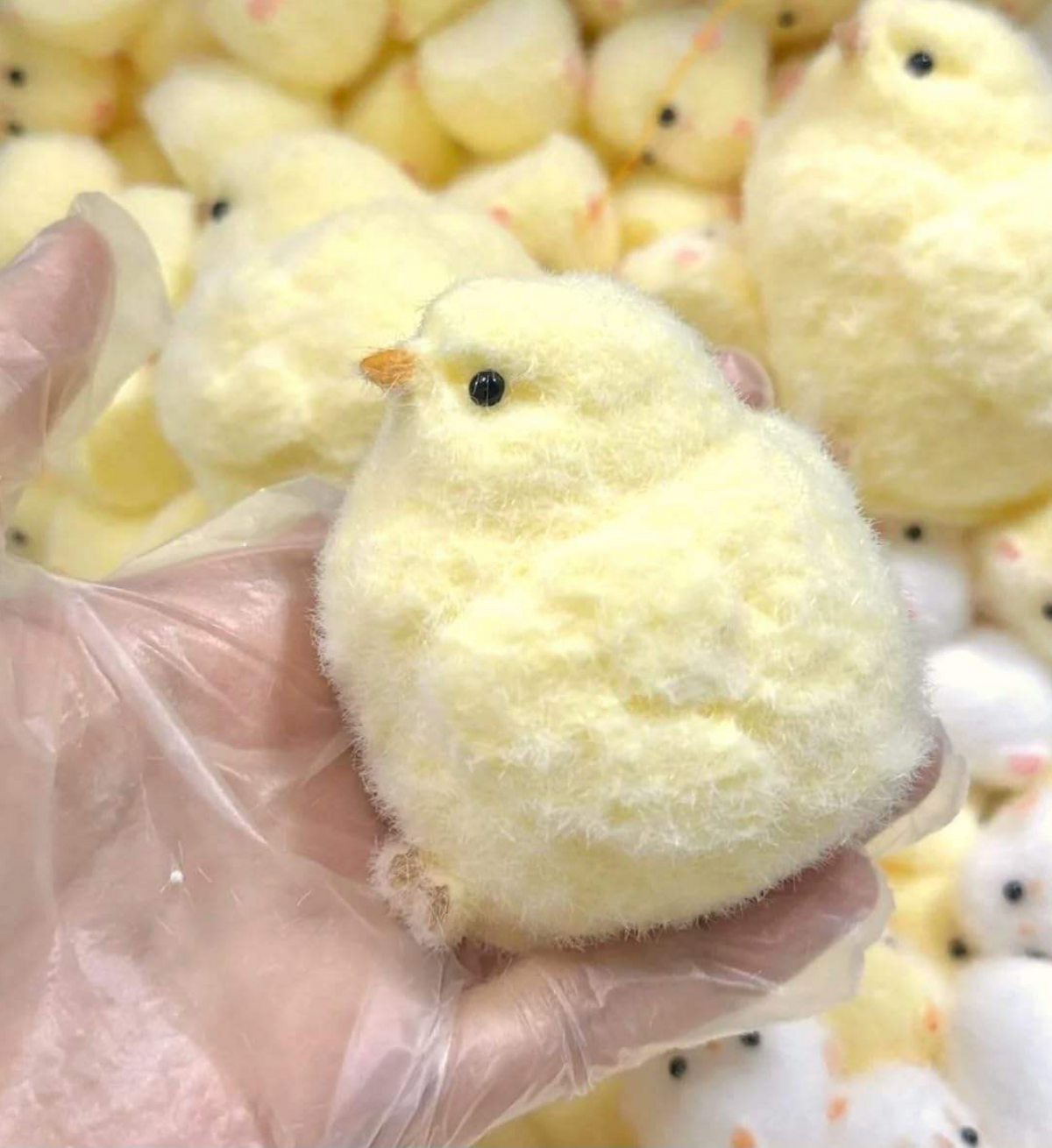 Squishy poussin anti-stress